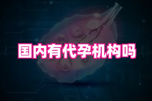 gfg孕网 2